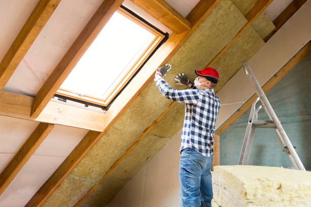 Best Attic Insulation Installation in Pahoa, HI